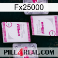 Fx25000 33